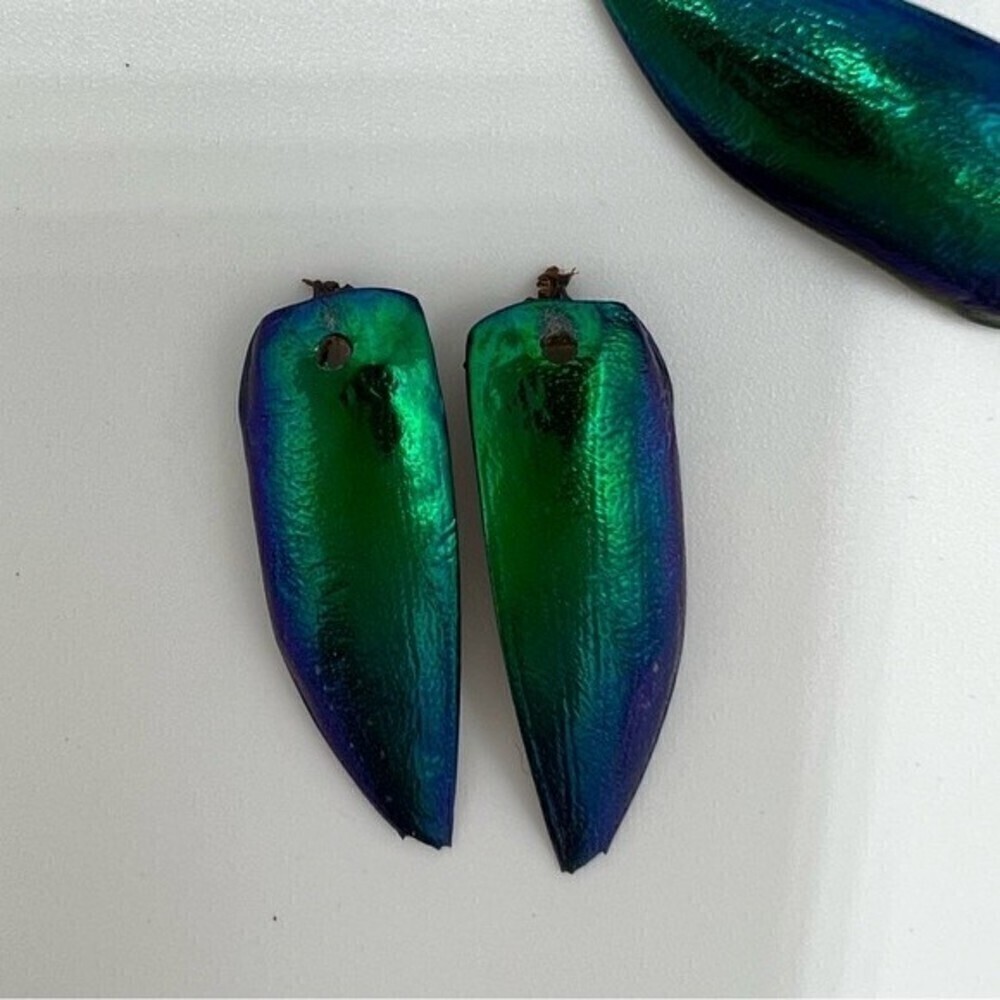 Jewel beetle wings drilled for jewelry making - Picture 3 of 8
